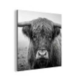 Schotse hooglander - Zwart - Wit - Gras aluminium wit klein -3d