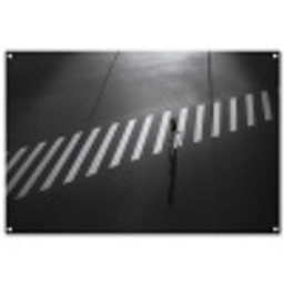 Zeebrapad - Hardloper - Zwart - Wit tuinposter los doek groot -3d