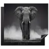 Olifant - Zwart - Wit - Rook Inductie beschermer vinyl 3mm middel -3d