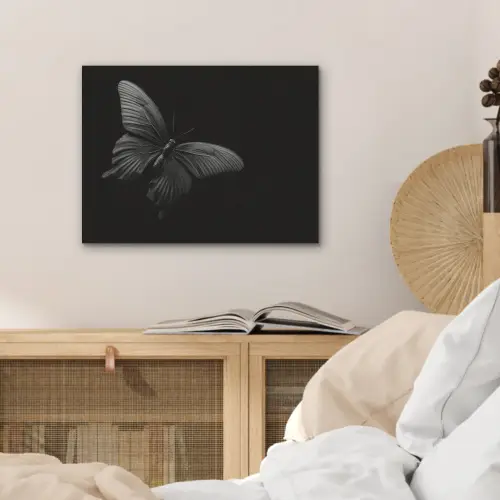 Vlinder - Zwart - Insect - Dieren PET vilt klein -sfeer3