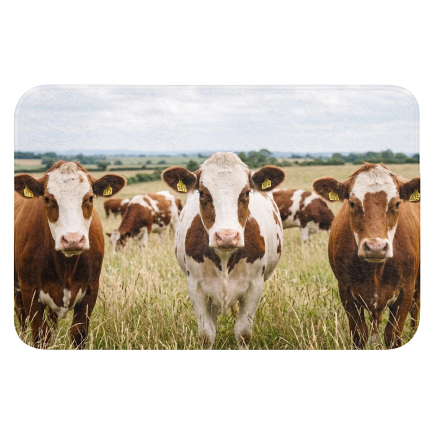 Koeien - Portret - Weide - Boerderij - Nieuwsgierig Badmat klein -3d