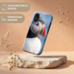 Papegaaiduiker - Portret - Natuur Toughcase MagSafe Apple iPhone 17 klein -USP_RandenV_NL