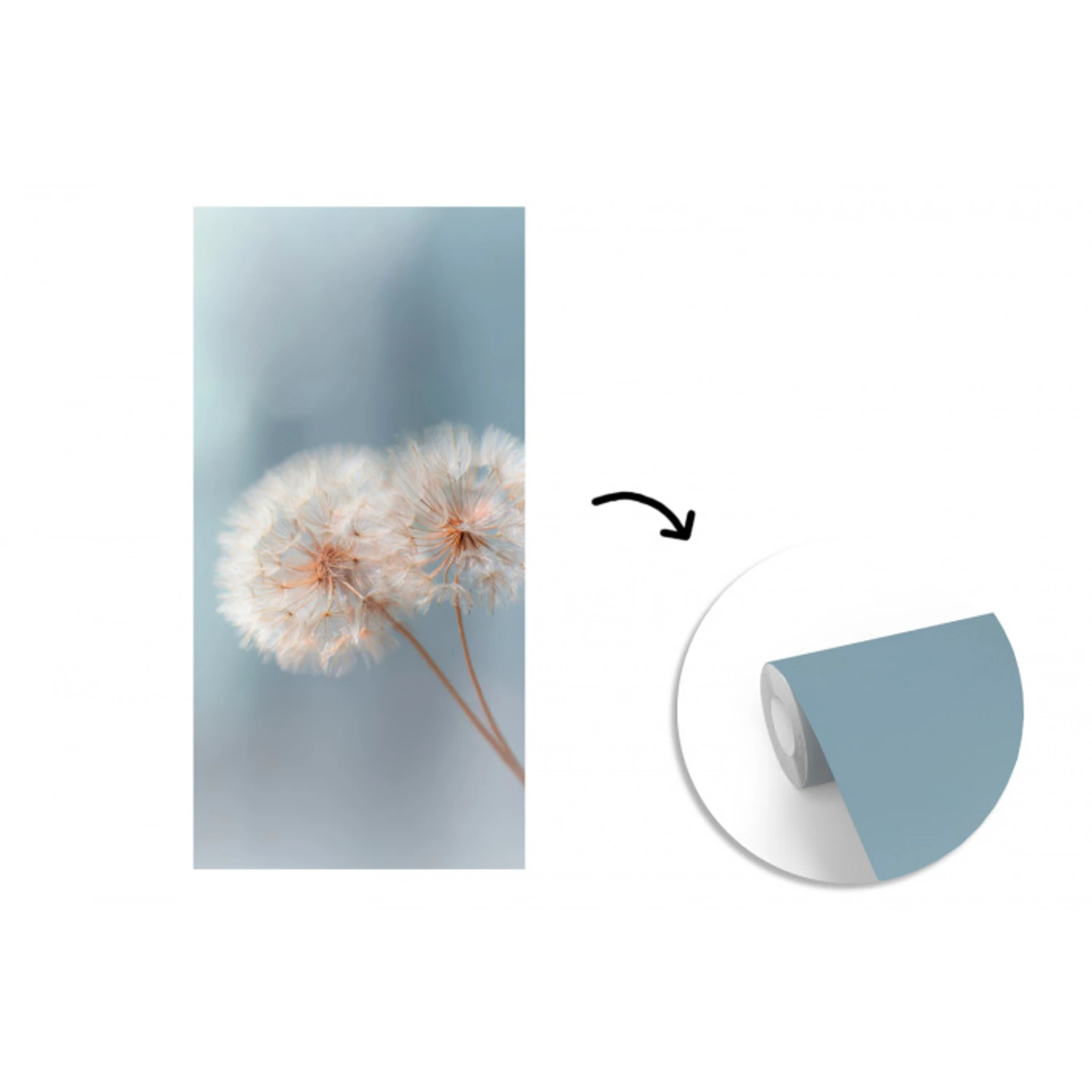Paardenbloemen - Pluisjes - Wit fotobehang vinyl groot -3d