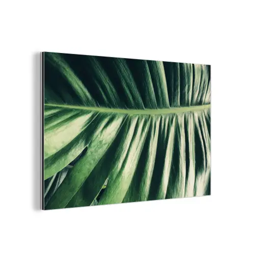 Palmblad - Tropisch - Natuur - Jungle aluminium wit klein -3d