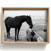 Paard - Auto - Zwart - Wit Dienblad Rechthoek middel -z3d_shopping