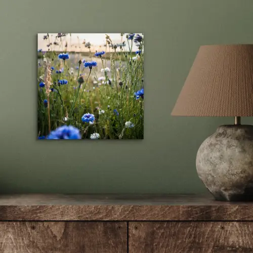Bloemen - Zomer - Korenbloem - Blauw - Zon - Wolken aluminium wit klein -sfeer2