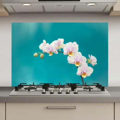 Orchidee - Bloemen - Plant - Wit - Paars keuken achterwand spatscherm klein -3d_website