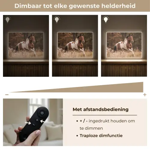 Paard - Bruin - Gras Light Box met batterij (Wandlamp) middel -USP_dimbaarNL