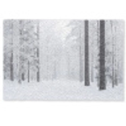 Bos - Sneeuw - Pad - Winter - Stilte Deurmat klein -zkaufland3d
