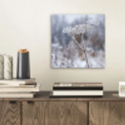 Schermbloem - Rijp - Kristallen - Winter - Delicaat aluminium wit klein -sfeer1