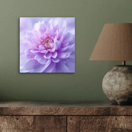 Paars - Dahlia - Dromerig aluminium wit klein -sfeer2