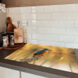 IJsvogel - Tak - Water - Kleurrijk - Levendig Inductie beschermer vinyl 3mm klein -sfeer3