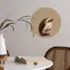 Egel - Snuitje - Bruin - Stekels Wandcirkel behangsticker klein -sfeer3