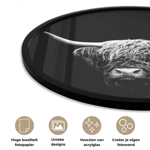 Schotse Hooglander - Koe - Zwart - Wit - Dieren Fotolijst rond zonder passe partout klein -closeup_NL