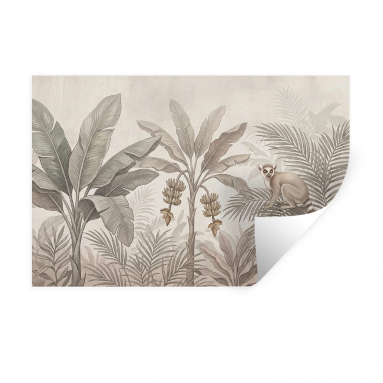 Natuur - Jungle - Ringstaartmaki - Bruin Muursticker klein -3d