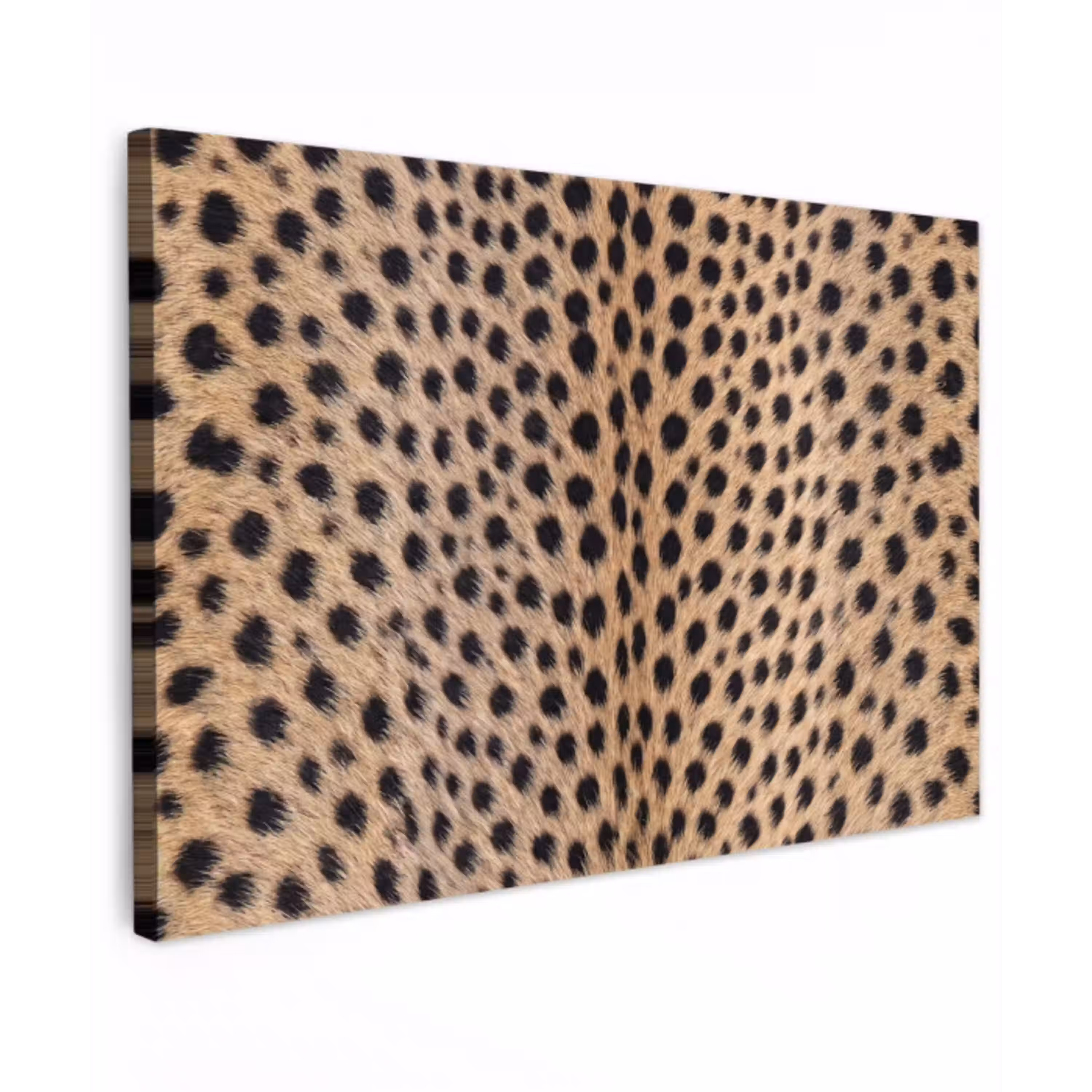 Vacht - Jachtluipaard - Zwart - Wit canvas 2cm klein -z3d