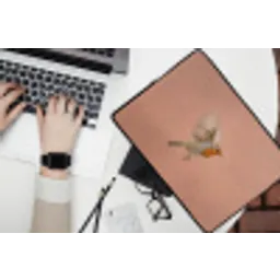 Roodborst - Natuur - Roze laptophoes neopreen klein -bureau