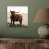 Schotse hooglander - Dieren - Landelijk - Landschap - Koe - Natuur aluminium wit klein -sfeer2