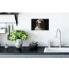 Tijger - Kokskleding - Bruin Muursticker klein -keuken