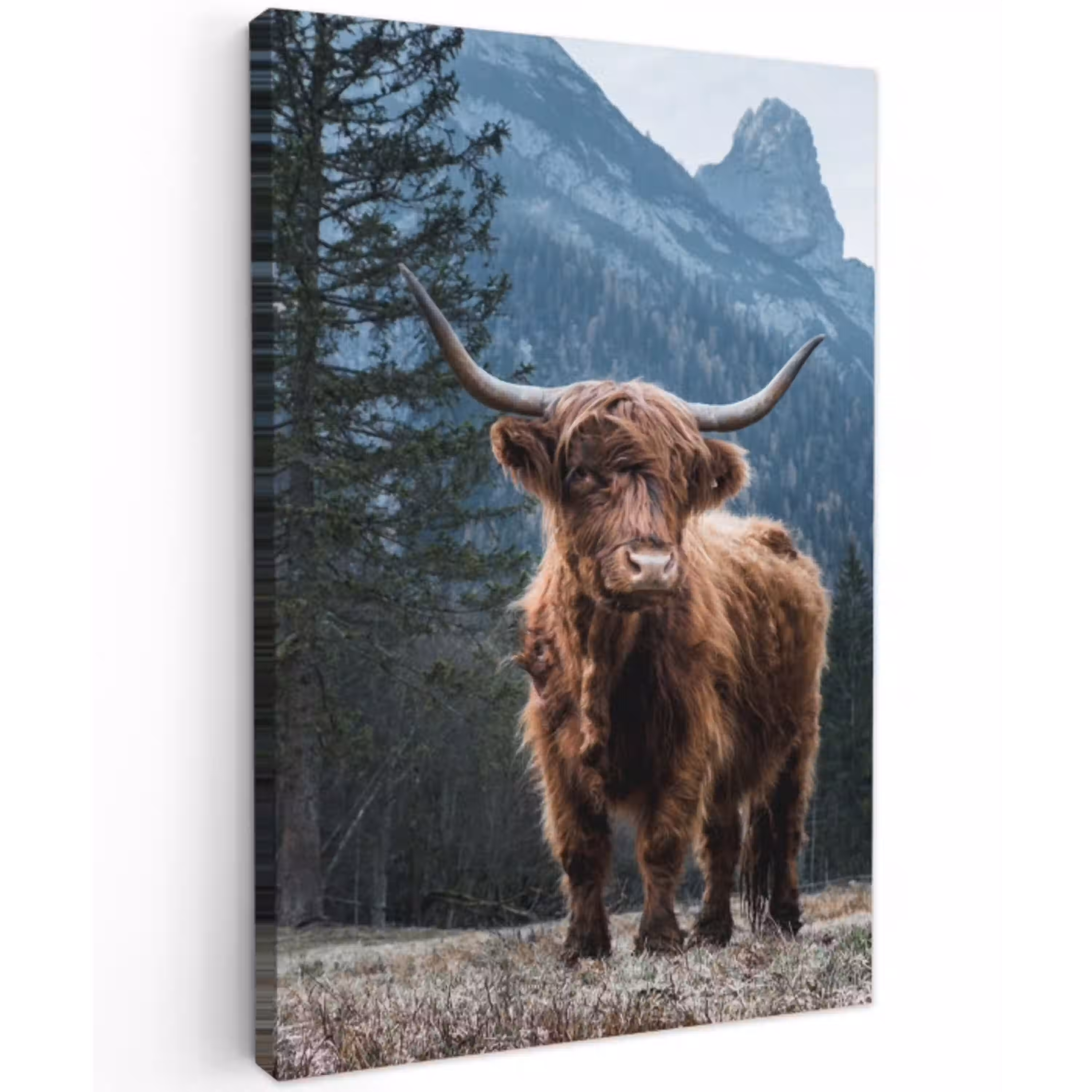 Hooglander voor Bergen Tuinposter op houten frame 2 cm dik klein -3d
