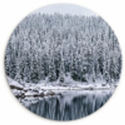 Bos - Reflectie - Meer - Winter - Serene Wandcirkel kunststof plaat 5mm dik klein -3d