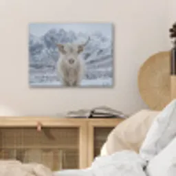 Schotse Hooglander - Sneeuw - Bergen - Winter PET vilt klein -sfeer3