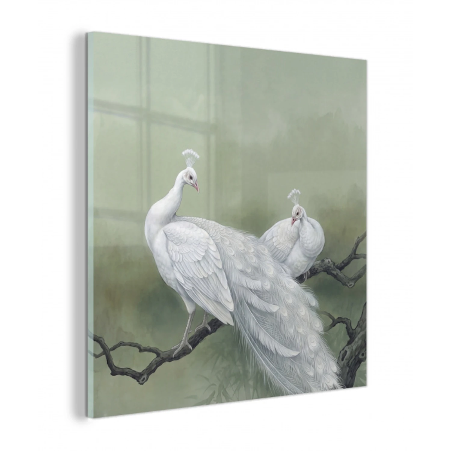 Pauwen - Wit - Natuur - Groen plexiglas 5mm klein -z3d
