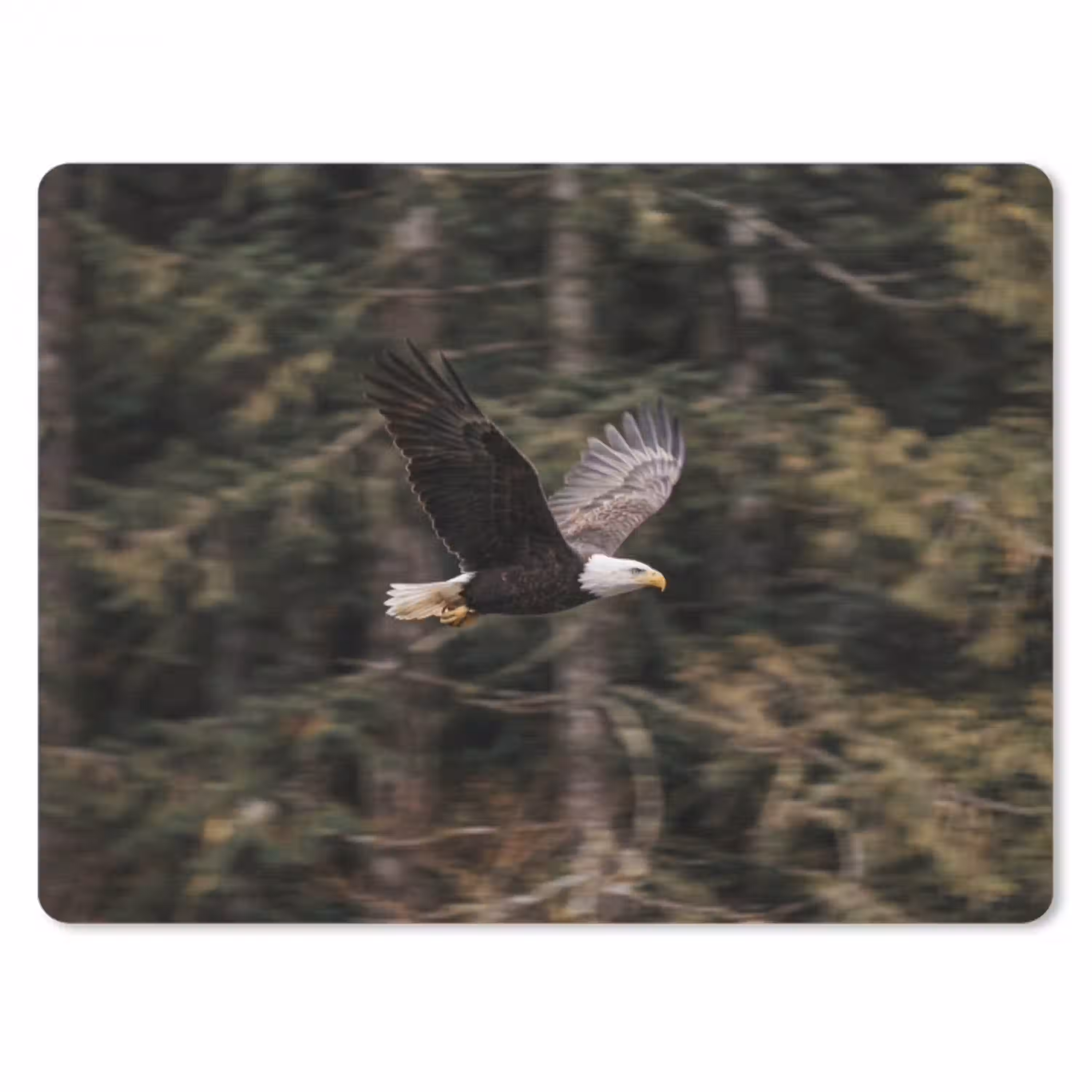 Zeearend - Vliegen - Bos - Natuur muismat rubber klein -3d