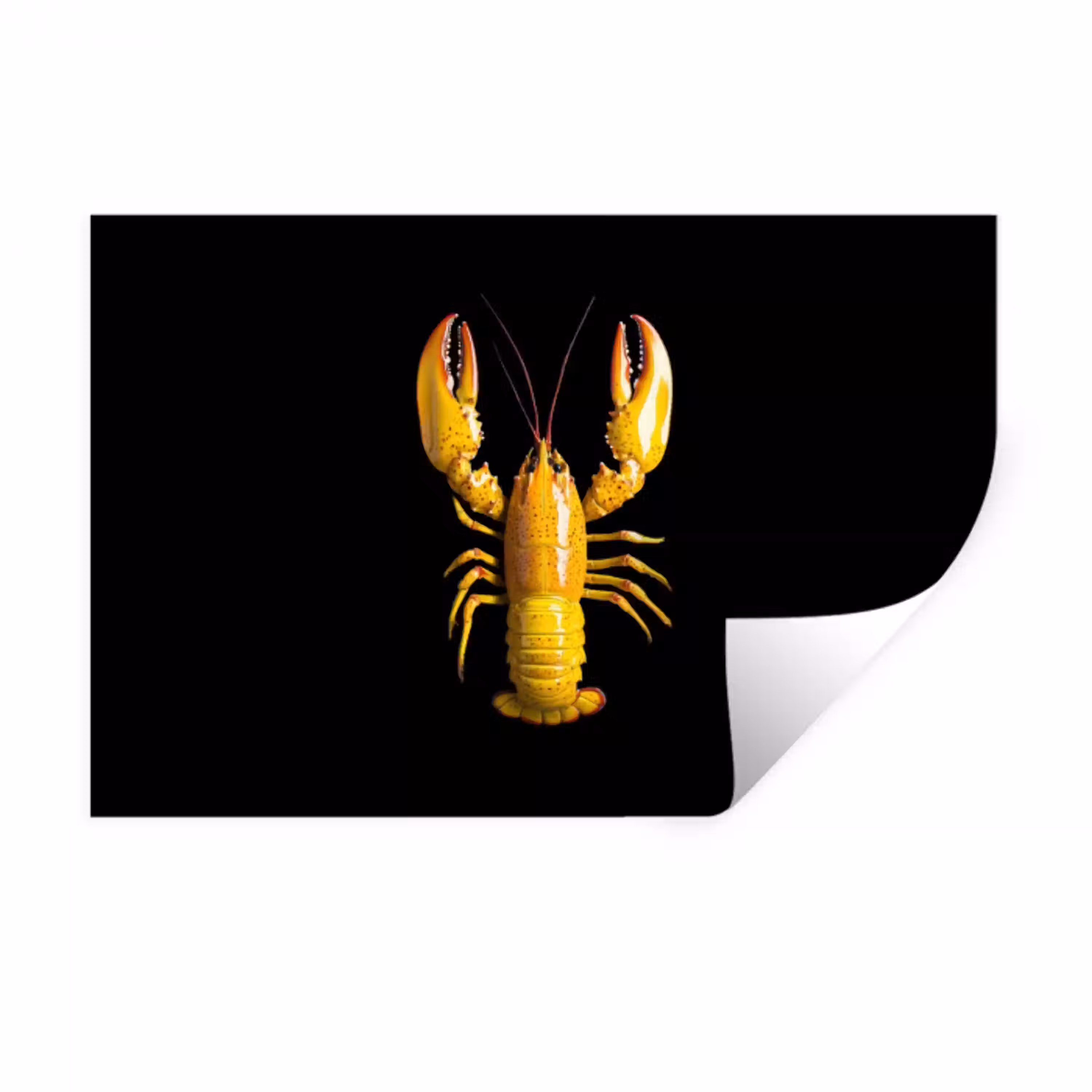 Kreeft - Geel - Stippen - Effen Muursticker klein -3d