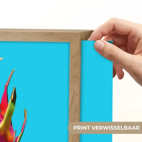 Drakenfruit - Blauw - Levendig Light Box met batterij (Wandlamp) middel -USP_websiteprintNL
