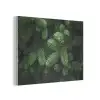 Sparrentakken - Knoppen - Naalden - Groen PET vilt klein -3d