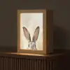 Haas - Oren - Bruin Light Box met kabel (Tafellamp) klein -z3d_website
