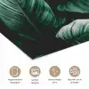 Jungle - Bladeren - Tropisch - Planten - Natuur poster papier klein -closeup_NL