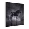 Paard - Magisch - Zwart plexiglas 5mm klein -z3d