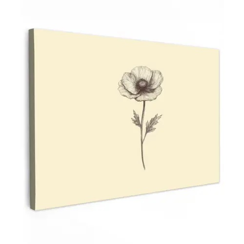Klaproos - Illustratie - Zwart Tuinposter op houten frame 2 cm dik klein -3d