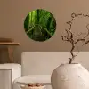 Jungle - Brug - Mos - Natuur - Tropisch Wandcirkel behangsticker klein -sfeer1