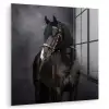 Portret - Paard - Zwart plexiglas 5mm klein -zzzproduct_nieuw
