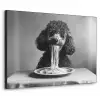 Poedel - Hond - Zwart - Wit - Schattig - Pasta Textielframe zwart klein -3d