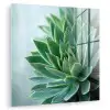Vetplant - Bladeren - Groen - Wazig plexiglas 5mm klein -zzzproduct_nieuw