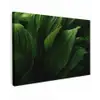 Bladeren - Schaduw - Groen - Textuur canvas 2cm klein -z3d