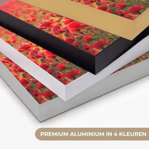 Bloemen - Klaprozen - Rood - Bloemenveld Textielframe zwart klein -USP_kleurenNL