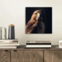 Roofvogel - Buizerd - Bruin aluminium wit klein -sfeer1
