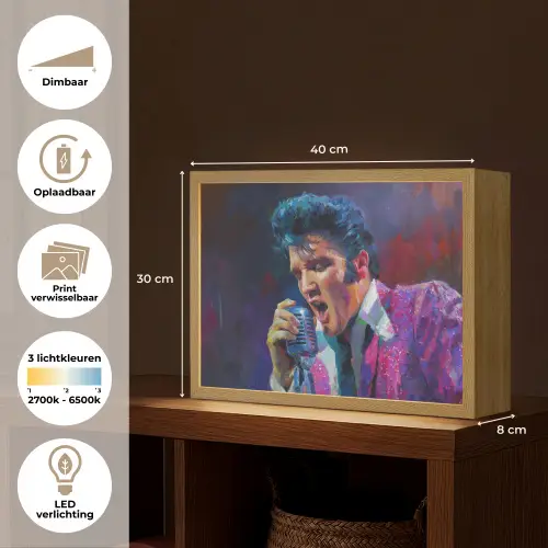 Expressief - Microfoon - Paars Light Box met batterij (Wandlamp) middel -USP_websiteoverzichtNL