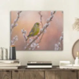 Groenling - Katjes - Lente - Natuur - Zacht PET vilt klein -sfeer1