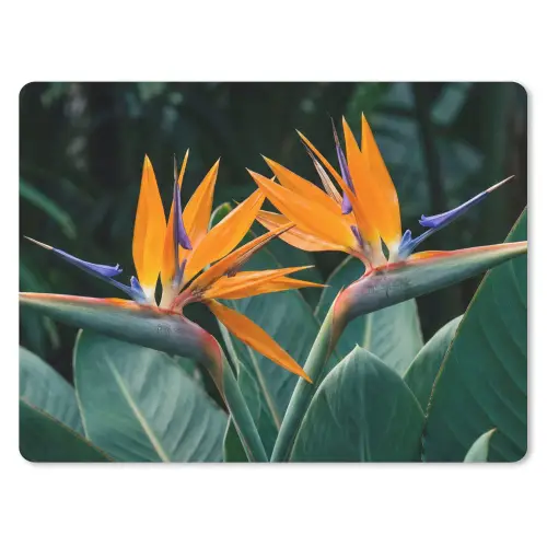 Paradijsvogel - Bloem - Exotisch muismat rubber klein -3d