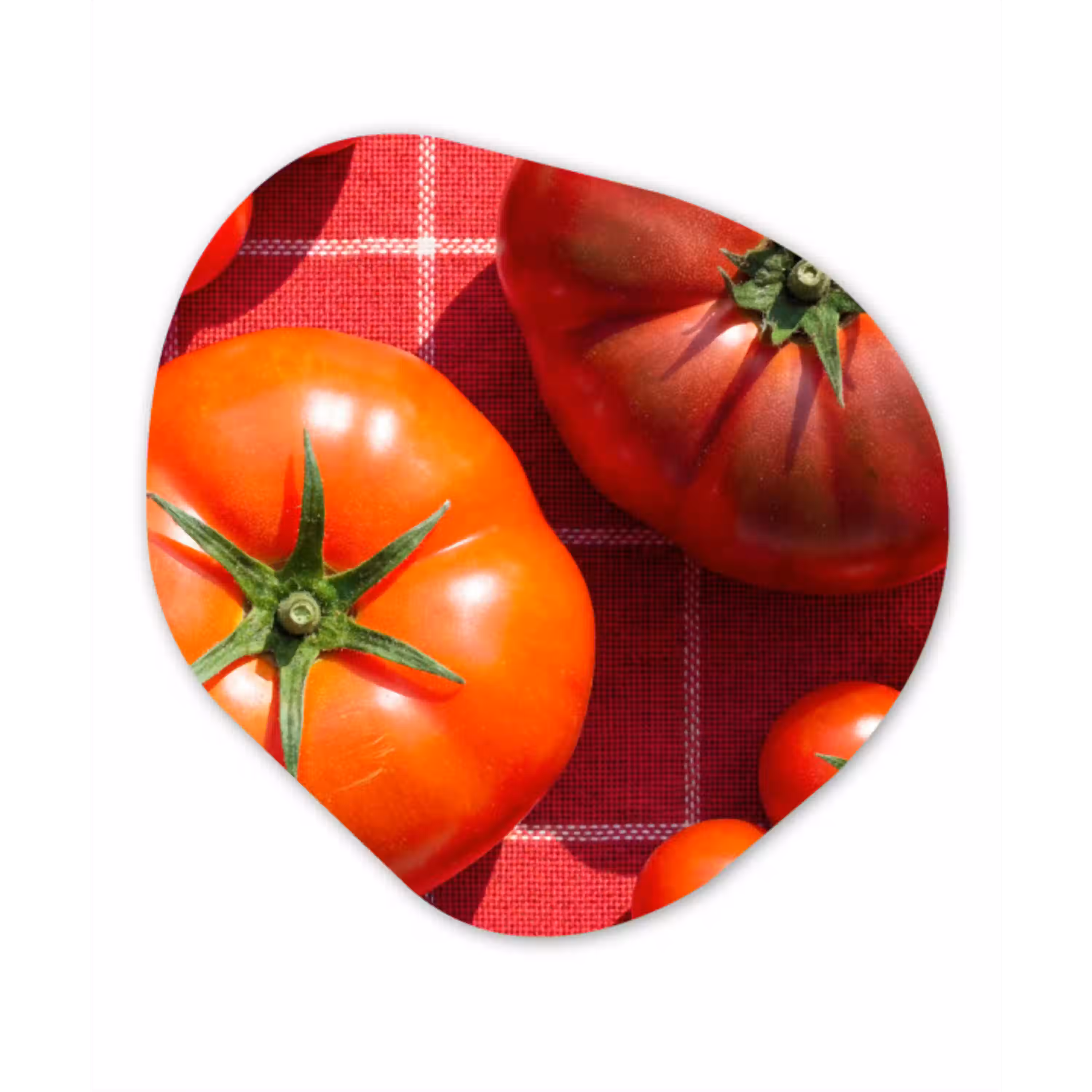 Tomaat - Rood - Eten Wandcirkel Organisch Forex 3mm klein -3d