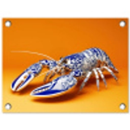 Kreeft - Delftsblauw - Schild - Stoer - Oranje tuinposter los doek klein -3d