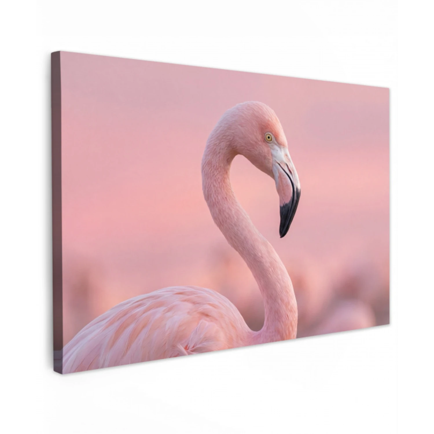 Flamingo - Portret - Roze canvas 2cm klein -z3d