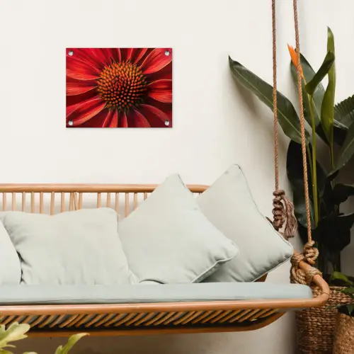Close up - Bloem- Rood tuinposter los doek klein -sfeer7