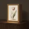 Tulp - Minimalistisch - Beige Light Box met kabel (Tafellamp) klein -z3d_website